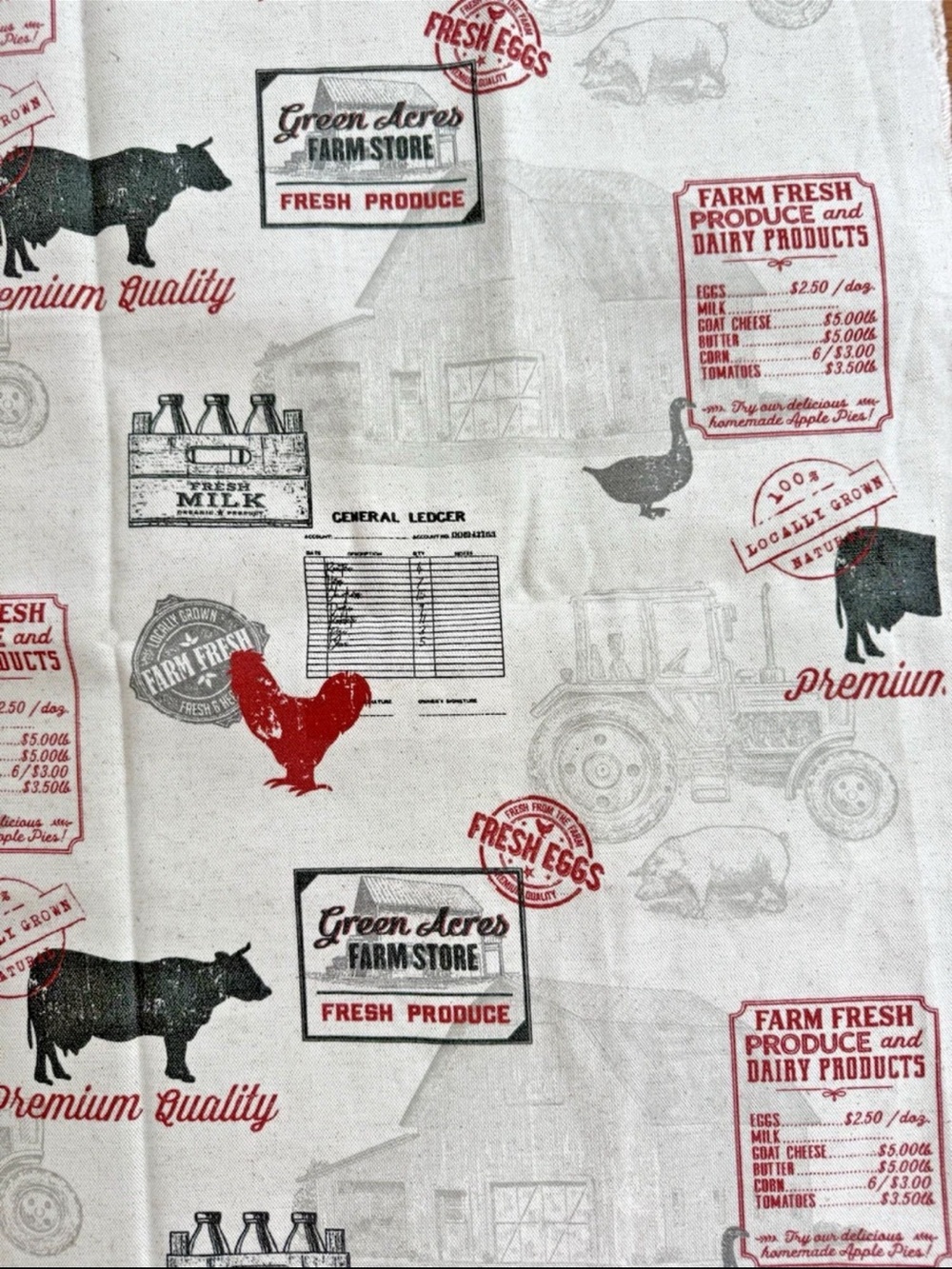 Hudson Farm Store Toile Cotton Duck Upholstery Fabric Remnant 24" x 54" Woven